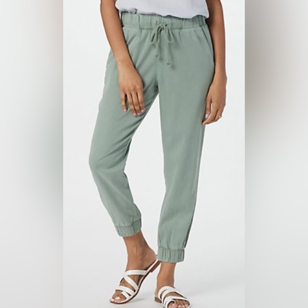 Cloth & Stone Sage Green Joggers